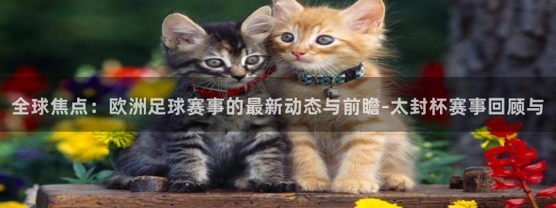 劲爆体育直播高清：全球焦点：欧洲足球赛事的最新动态与前瞻-太封杯赛事回顾与
