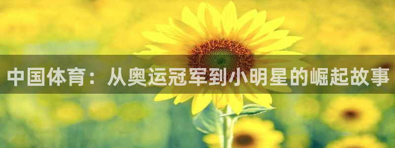 劲爆体育网络直播：中国体育：从奥运冠军到小明星的崛起故事
