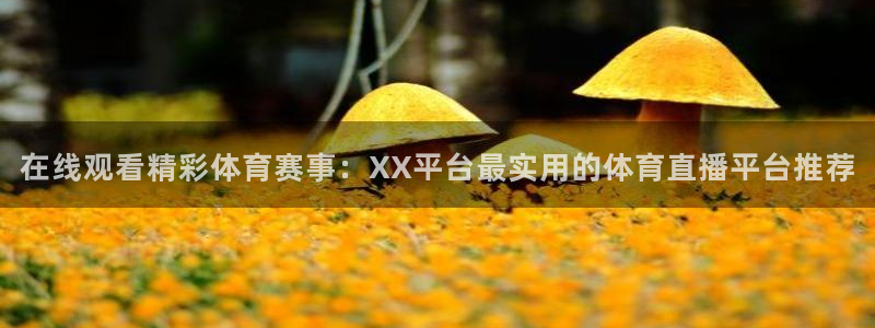 劲爆体育台直播：在线观看精彩体育赛事：XX平台最实用的体育直播平台推荐