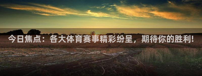 上海劲爆体育频道直播：今日焦点：各大体育赛事精彩纷呈，期待你的胜利!