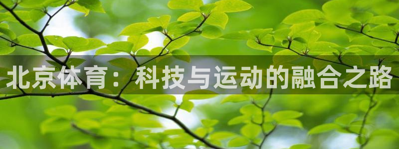 劲爆体育nba今天直播：北京体育：科技与运动的融合之路