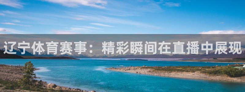 劲爆体育直播在线观看高清：辽宁体育赛事：精彩瞬间在直播中展现