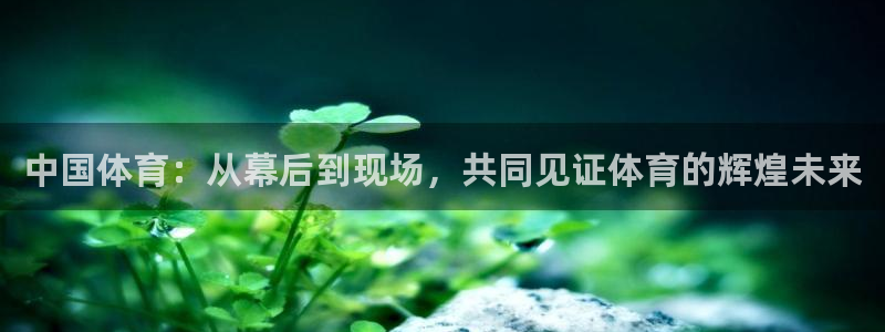 劲爆体育超清在线直播观看