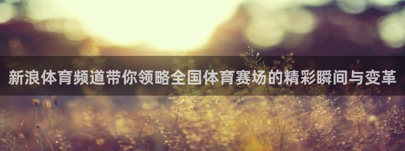 劲爆体育高清免费直播观看