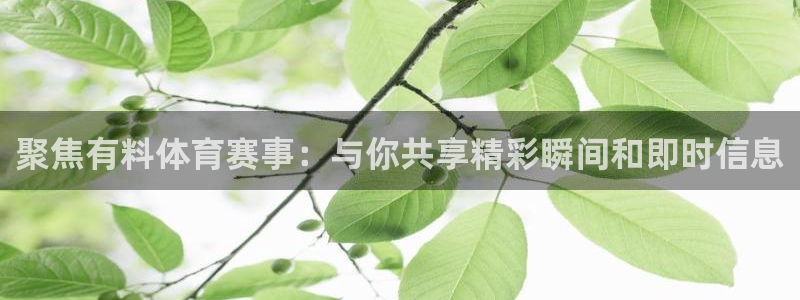 劲爆体育直播观看：聚焦有料体育赛事：与你共享精彩瞬间和即时信息